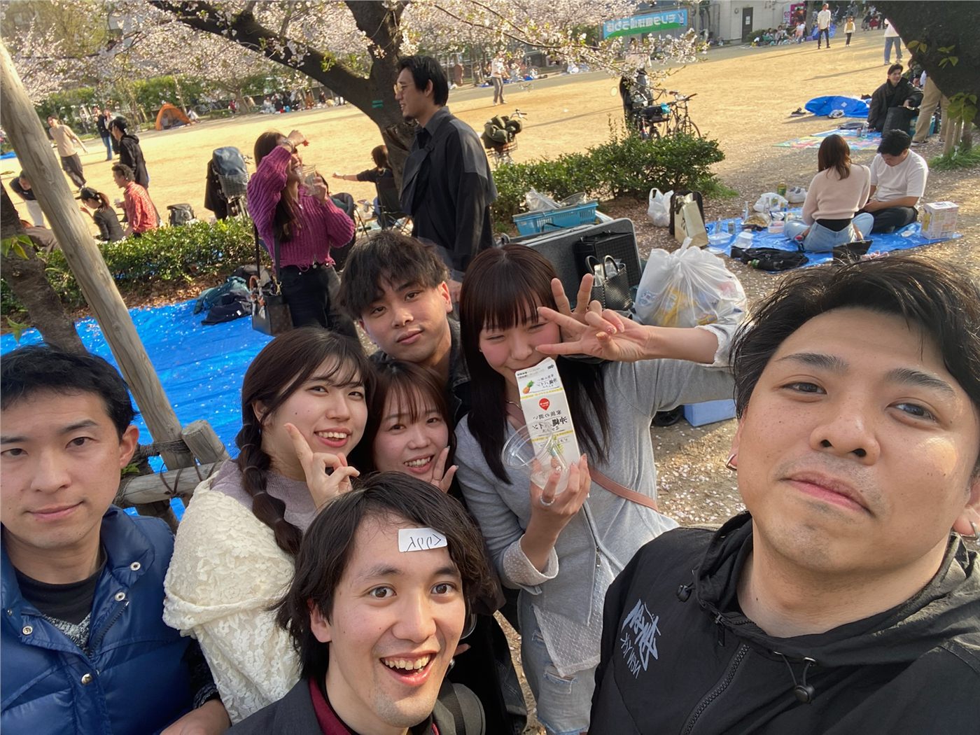 公園の木々の下に集まった屋外イベントの参加者